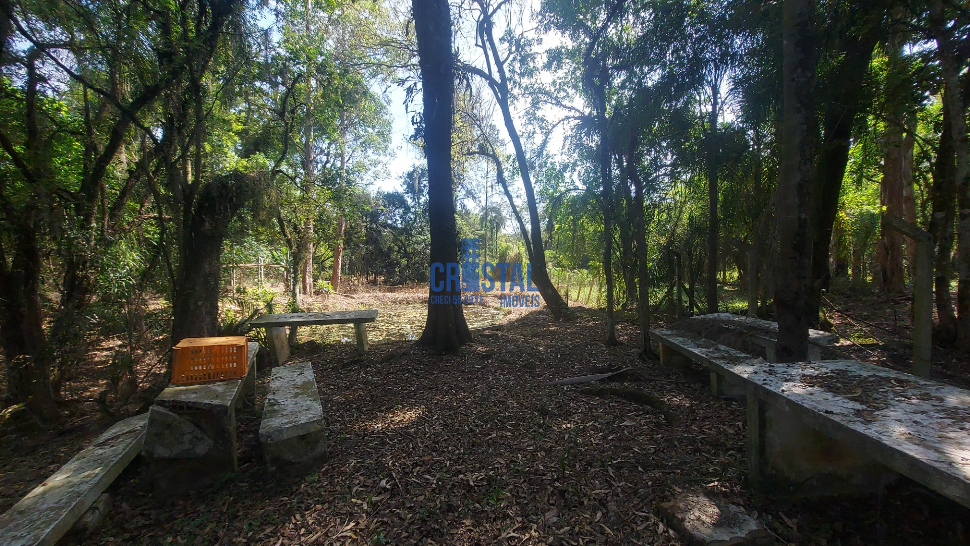 Fazenda à venda com 3 quartos, 292m² - Foto 52