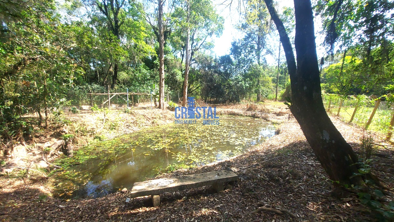 Fazenda à venda com 3 quartos, 292m² - Foto 53