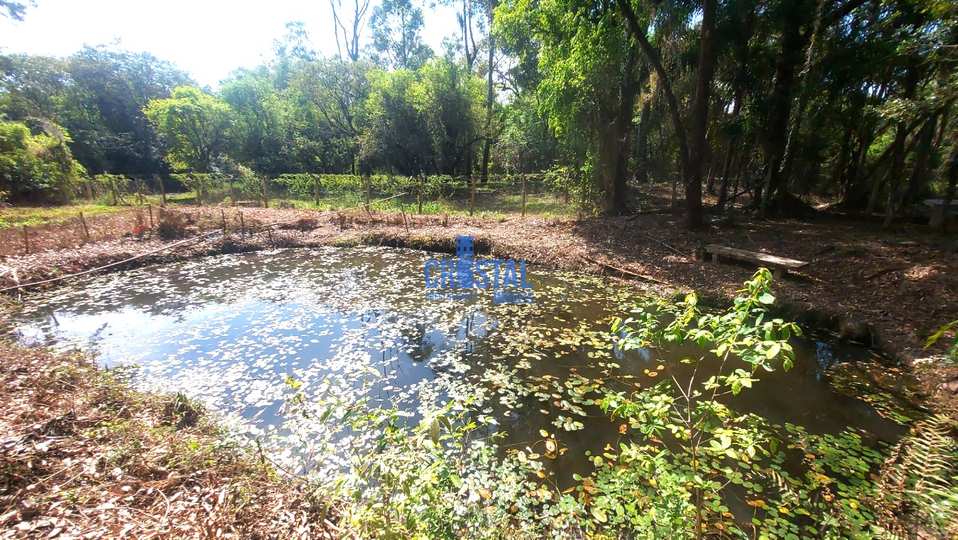 Fazenda à venda com 3 quartos, 292m² - Foto 54