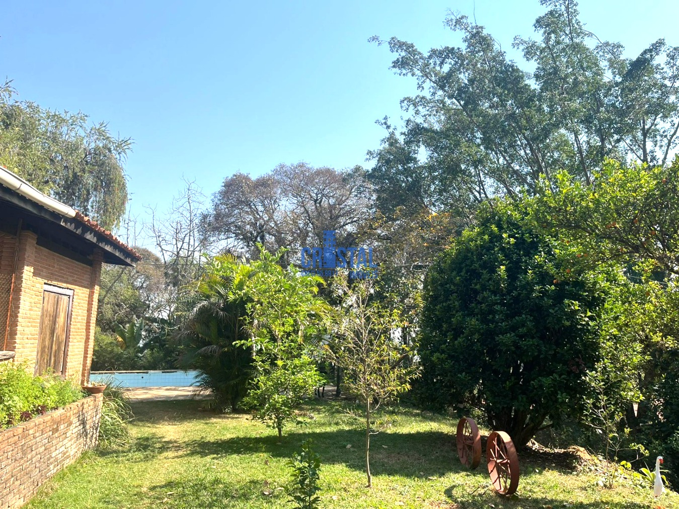 Fazenda à venda com 3 quartos, 300m² - Foto 63