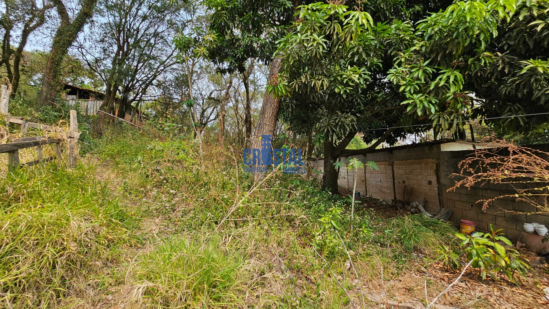 Fazenda à venda com 2 quartos, 95m² - Foto 21