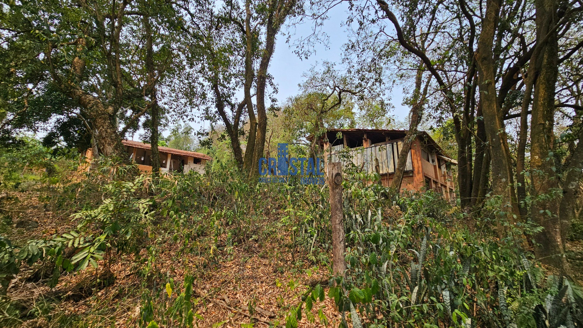 Fazenda à venda com 2 quartos, 95m² - Foto 23