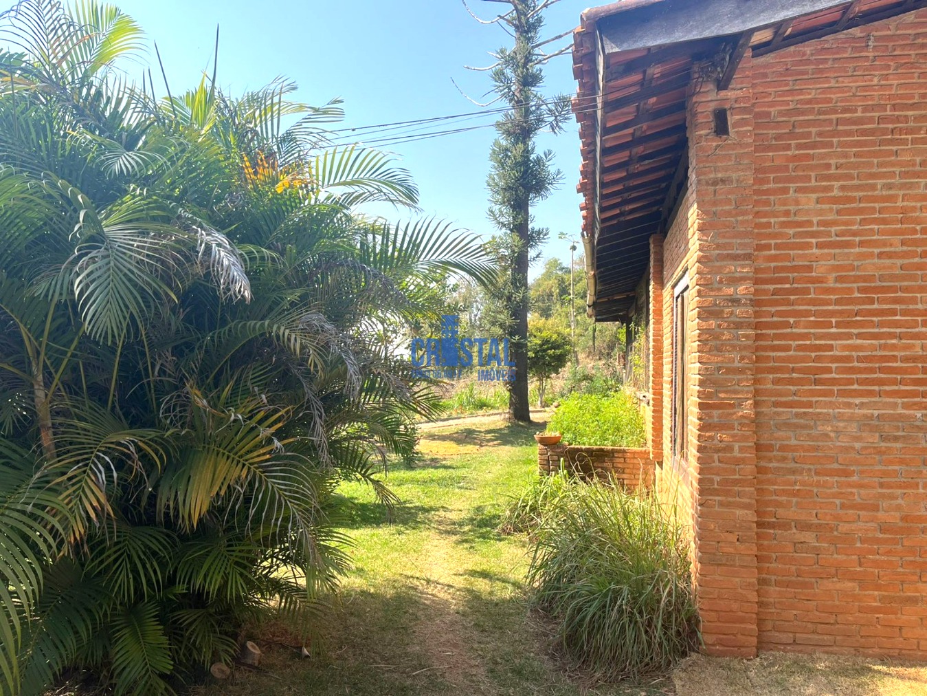 Fazenda à venda com 3 quartos, 300m² - Foto 64