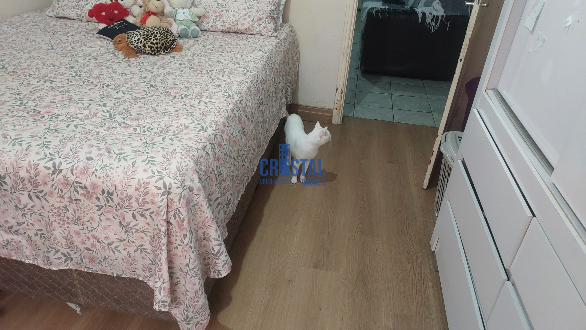Casa, 4 quartos, 249 m² - Foto 36