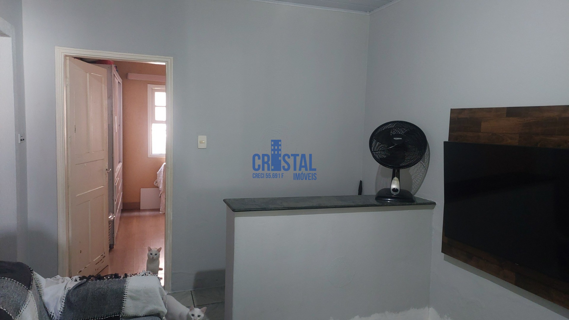 Casa, 4 quartos, 249 m² - Foto 31