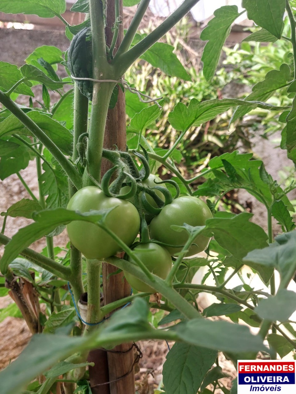 Sobrado, 3 quartos - Foto 21