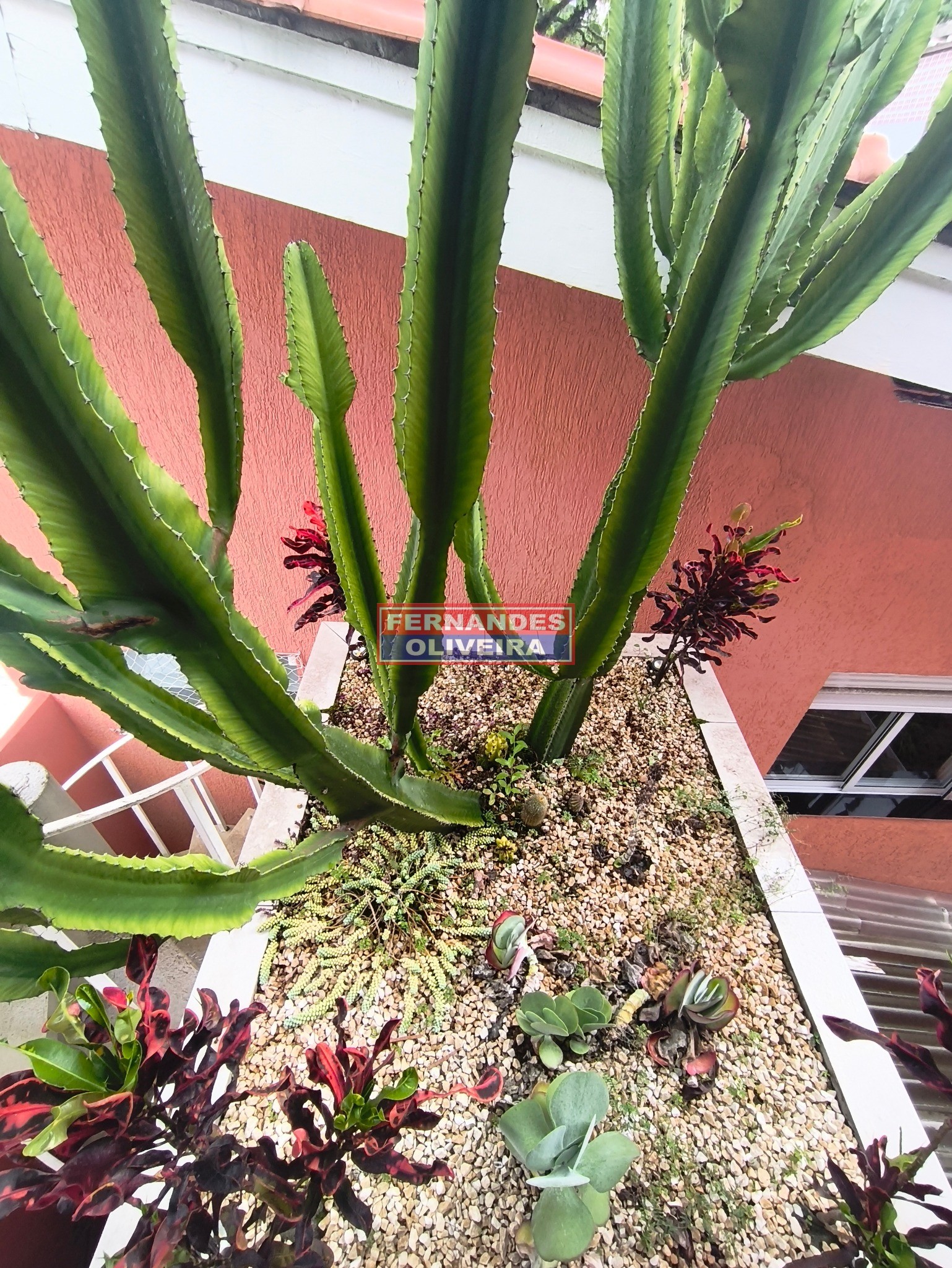 Prédio Inteiro - Foto 30