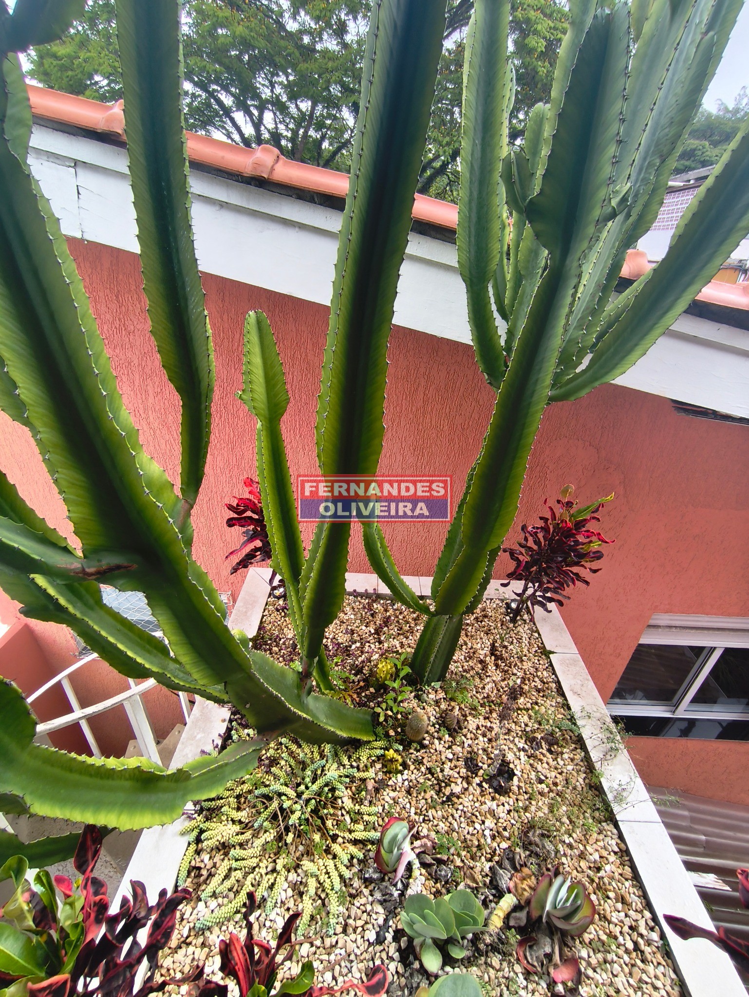 Prédio Inteiro - Foto 31