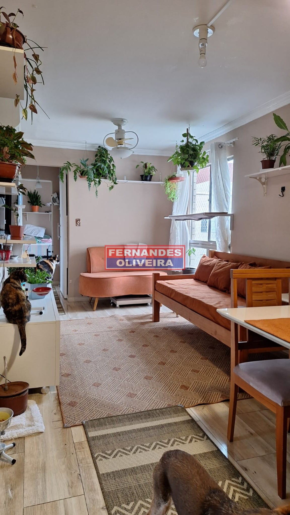 Apartamento, 3 quartos, 70 m² - Foto 10