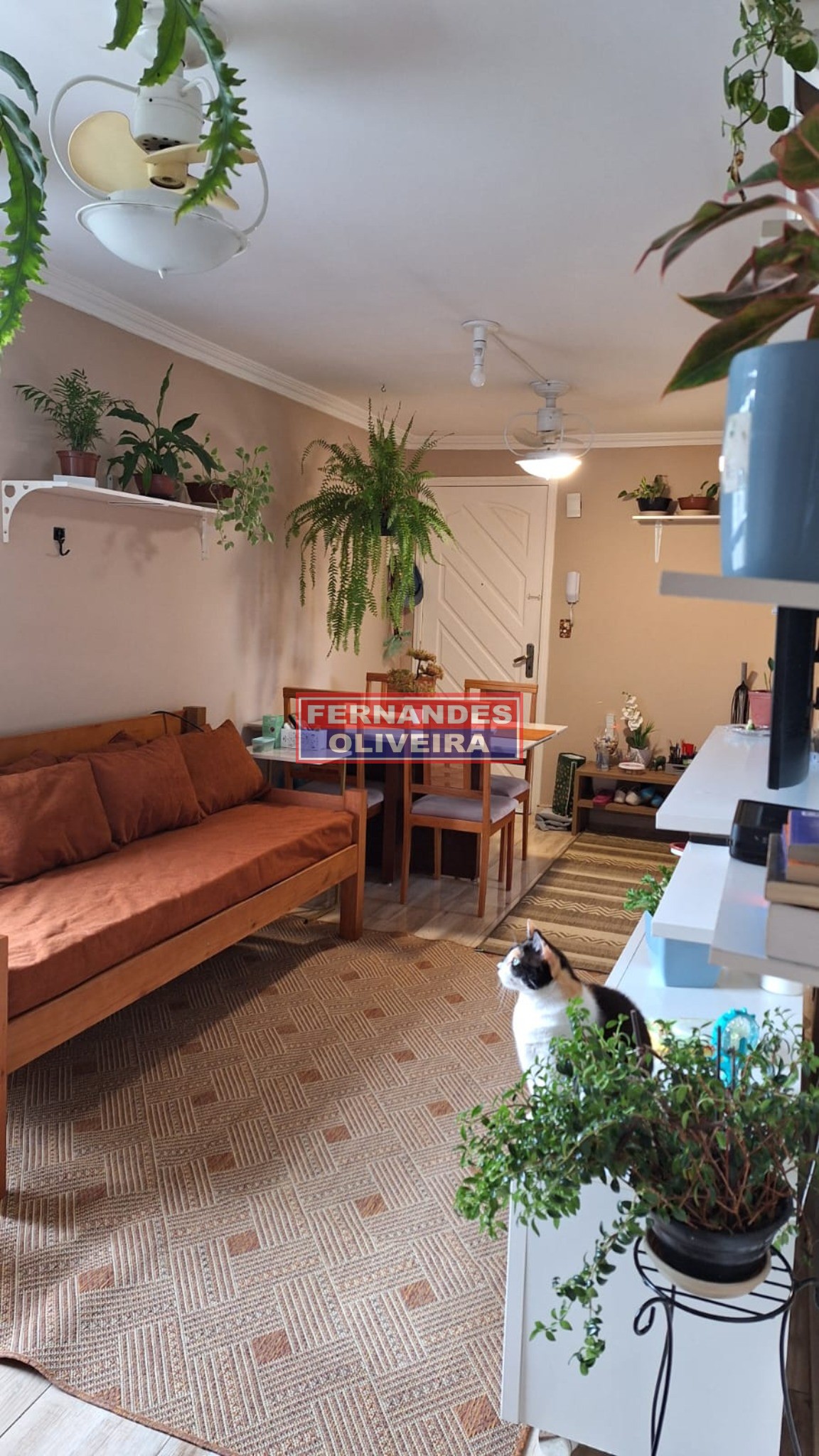 Apartamento, 3 quartos, 70 m² - Foto 11