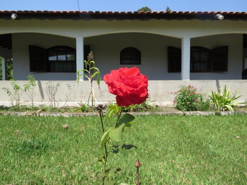 Fazenda à venda com 2 quartos, 262m² - Foto 19