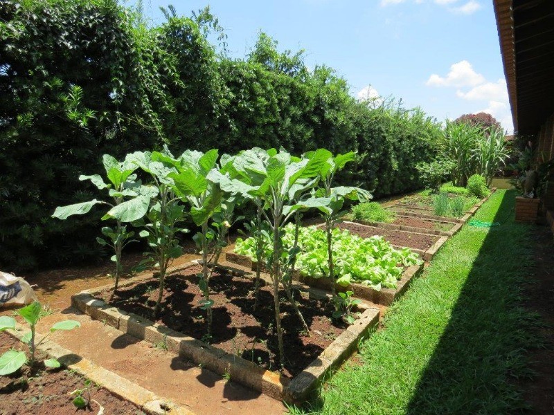 Fazenda à venda com 4 quartos, 700m² - Foto 58