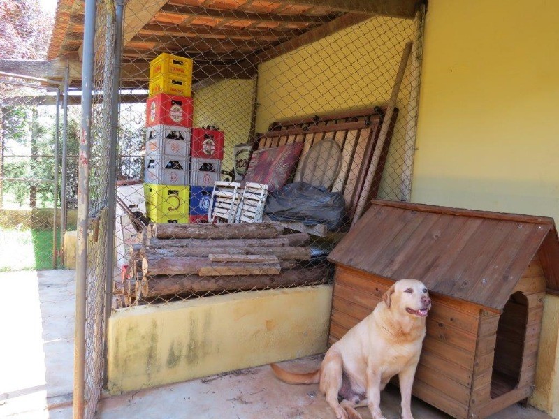 Fazenda à venda com 4 quartos, 700m² - Foto 61