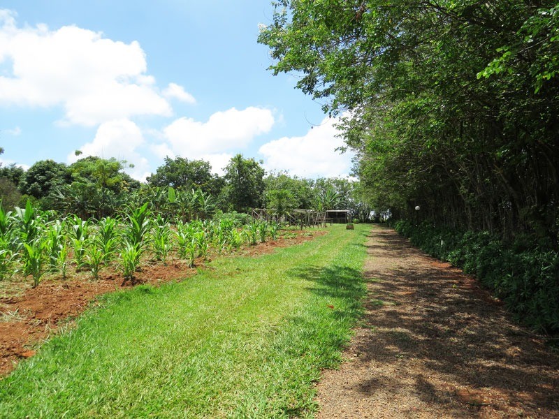 Fazenda à venda com 5 quartos, 620m² - Foto 48