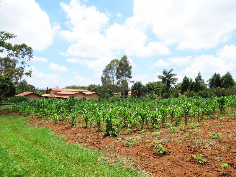 Fazenda à venda com 5 quartos, 620m² - Foto 49