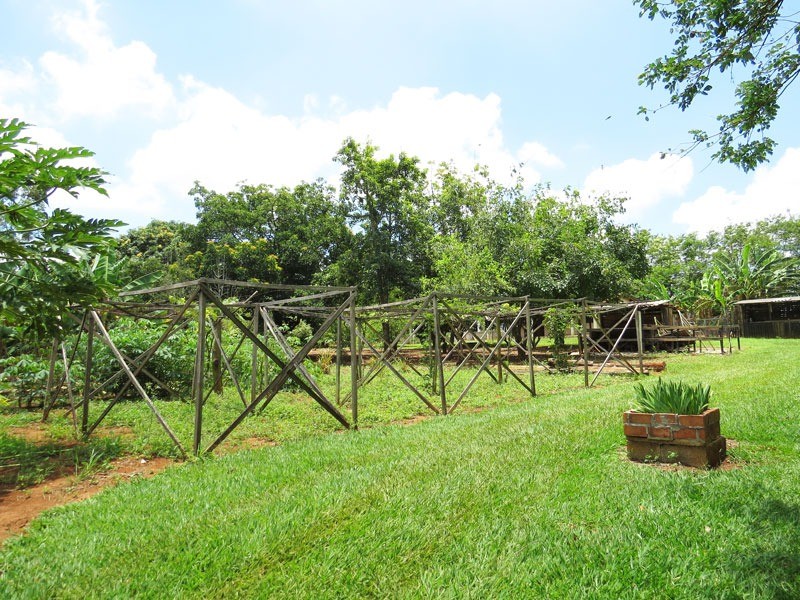 Fazenda à venda com 5 quartos, 620m² - Foto 50