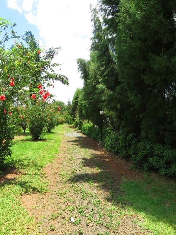 Fazenda à venda com 5 quartos, 620m² - Foto 54