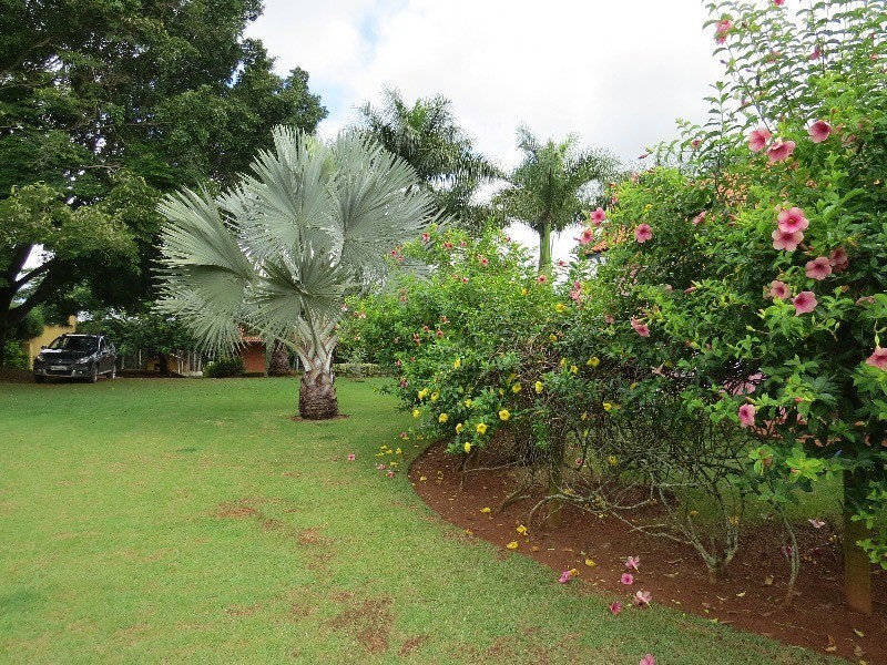 Fazenda à venda com 3 quartos, 340m² - Foto 1