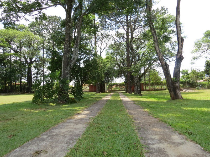 Fazenda à venda com 4 quartos, 350m² - Foto 5