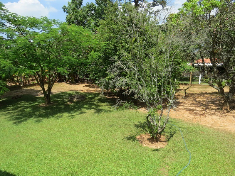 Fazenda à venda com 4 quartos, 350m² - Foto 35