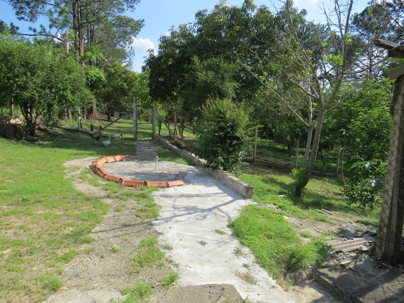 Fazenda à venda com 3 quartos, 163m² - Foto 23