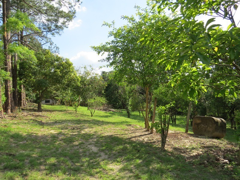 Fazenda à venda com 3 quartos, 163m² - Foto 25