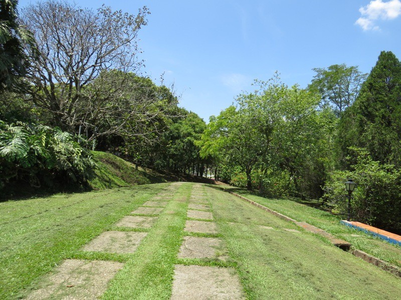 Fazenda à venda com 4 quartos, 500m² - Foto 2