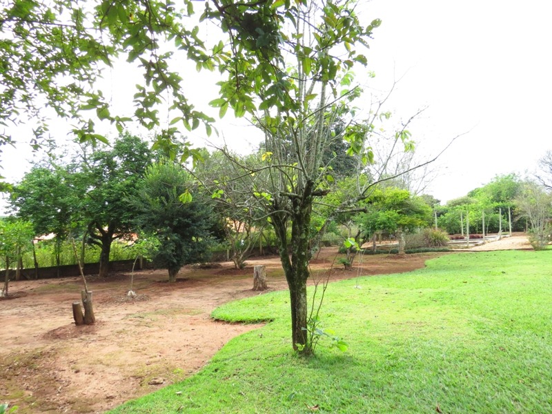 Fazenda à venda com 4 quartos, 439m² - Foto 59