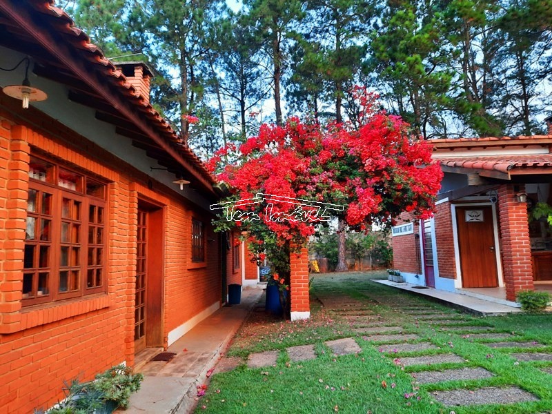 Fazenda à venda com 3 quartos, 350m² - Foto 2