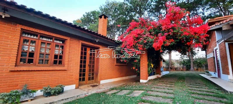 Fazenda à venda com 3 quartos, 350m² - Foto 7