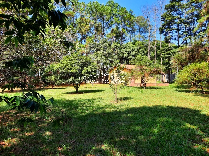 Fazenda à venda com 3 quartos, 350m² - Foto 12