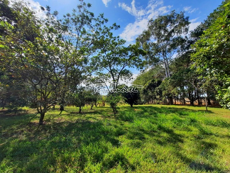 Fazenda à venda com 3 quartos, 350m² - Foto 13