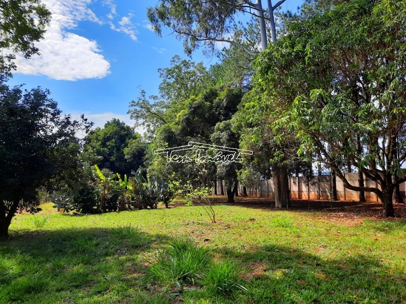 Fazenda à venda com 3 quartos, 350m² - Foto 14