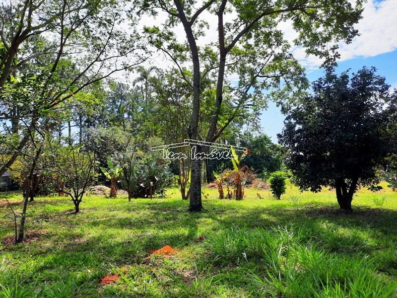 Fazenda à venda com 3 quartos, 350m² - Foto 15