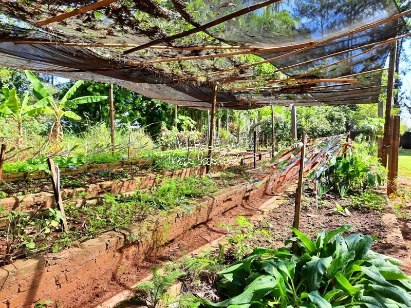 Fazenda à venda com 3 quartos, 350m² - Foto 17