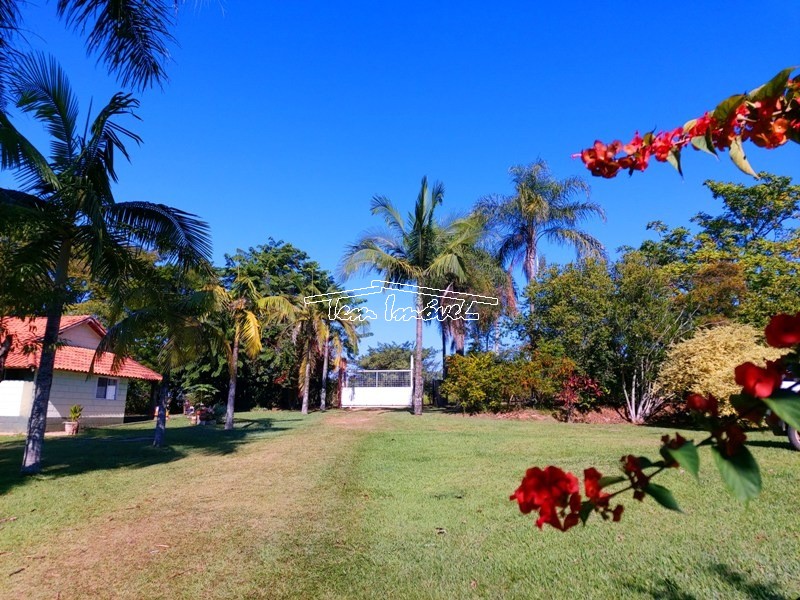 Fazenda à venda com 3 quartos, 500m² - Foto 45