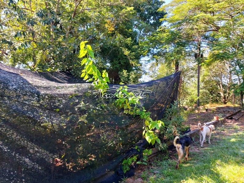 Fazenda à venda com 3 quartos, 500m² - Foto 48