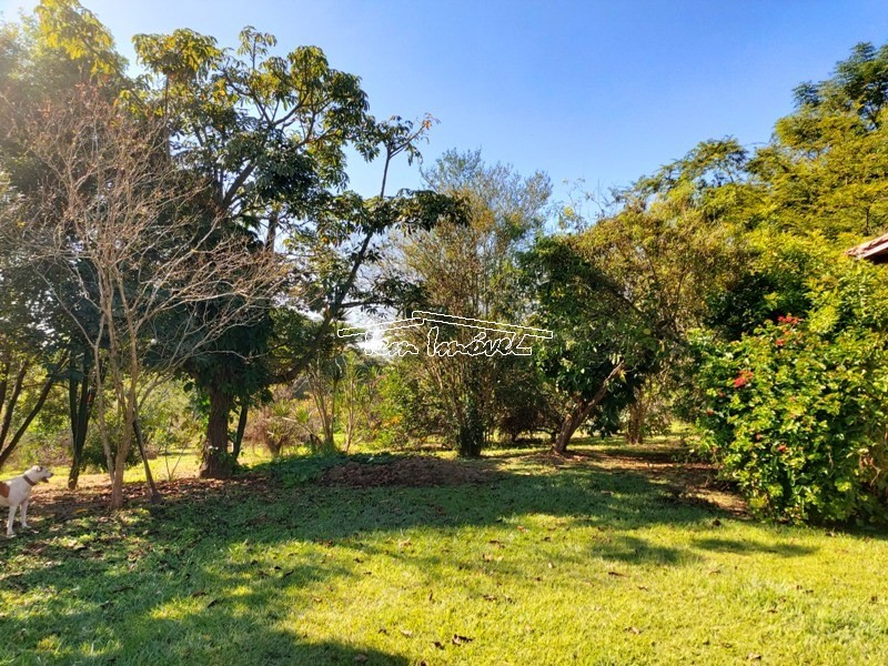 Fazenda à venda com 3 quartos, 500m² - Foto 52