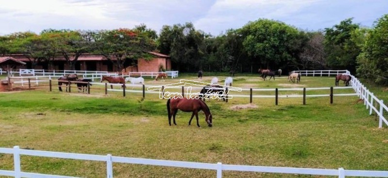 Terreno à venda, 420m² - Foto 5