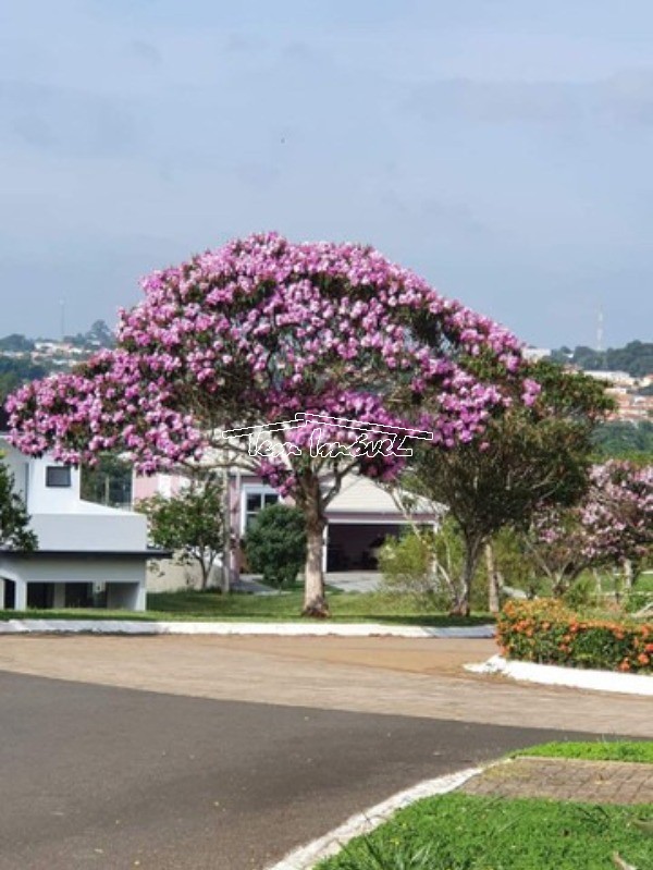 Terreno à venda, 420m² - Foto 6