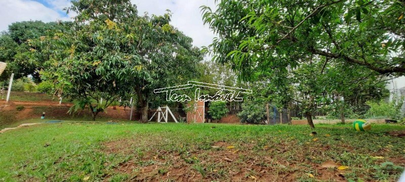 Fazenda à venda com 3 quartos, 180m² - Foto 19