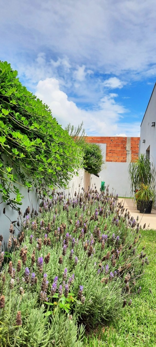 Fazenda à venda com 5 quartos, 500m² - Foto 44