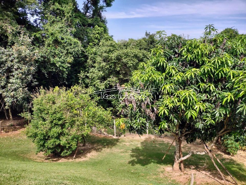 Fazenda à venda com 4 quartos, 350m² - Foto 6