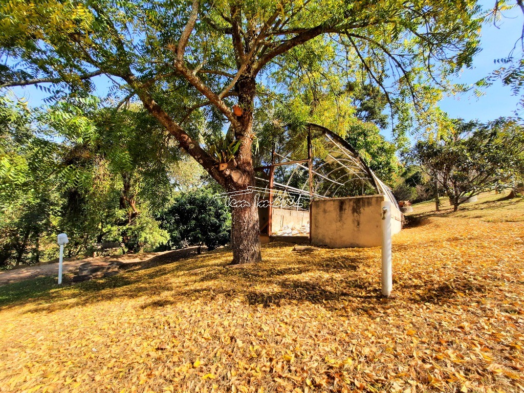 Fazenda à venda com 3 quartos, 300m² - Foto 53