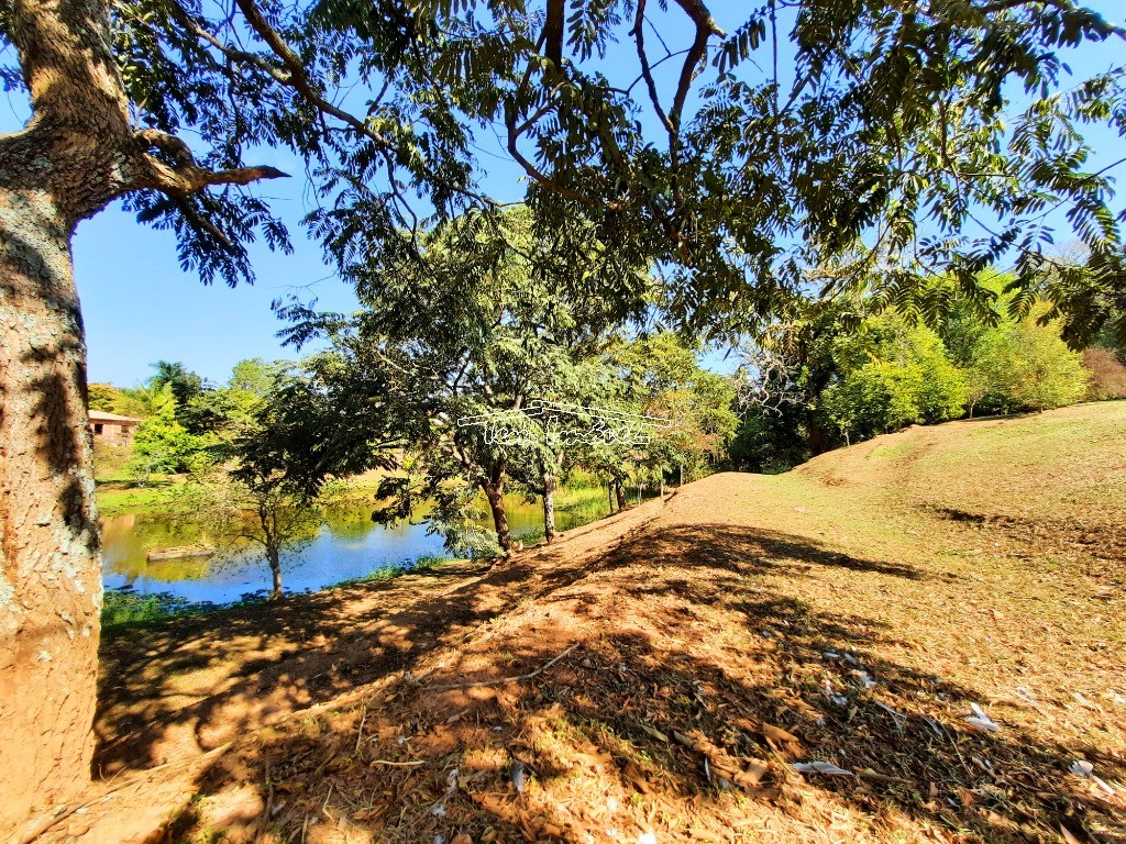 Fazenda à venda com 3 quartos, 300m² - Foto 57