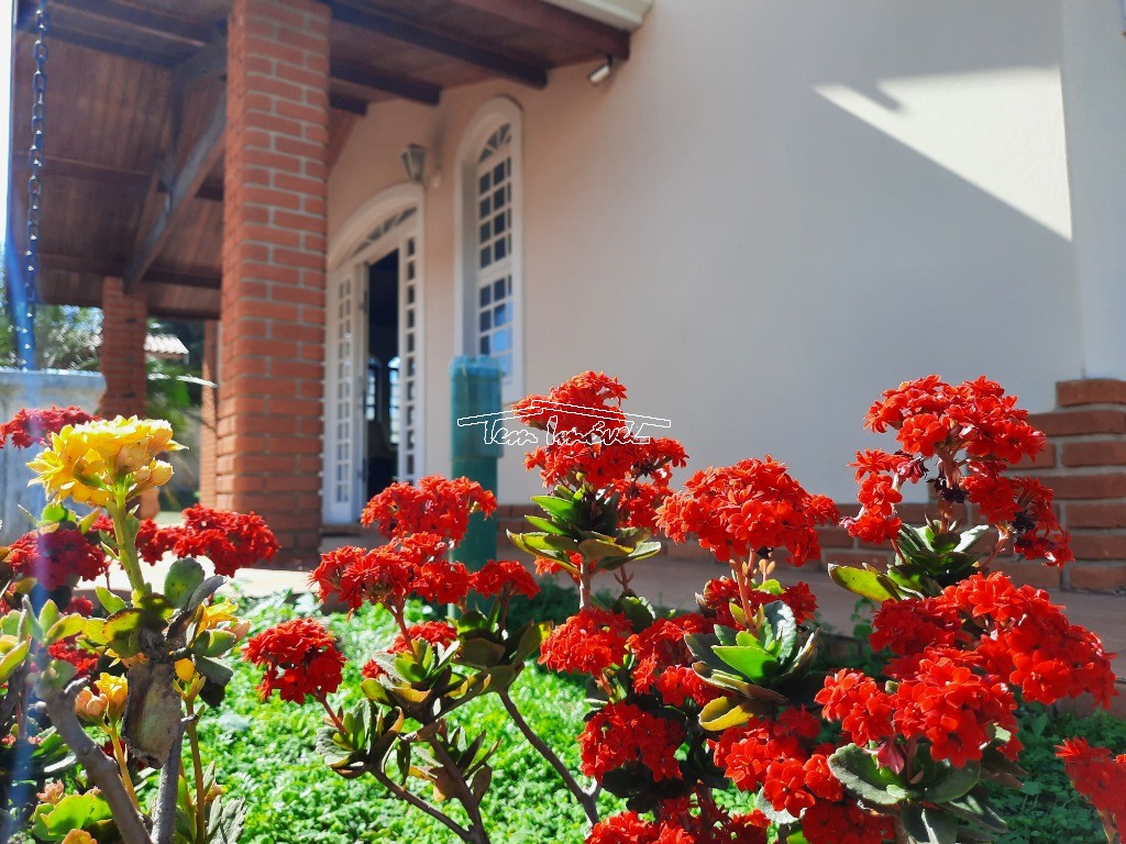 Fazenda à venda com 3 quartos, 300m² - Foto 10