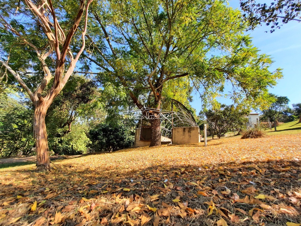 Fazenda à venda com 3 quartos, 300m² - Foto 54