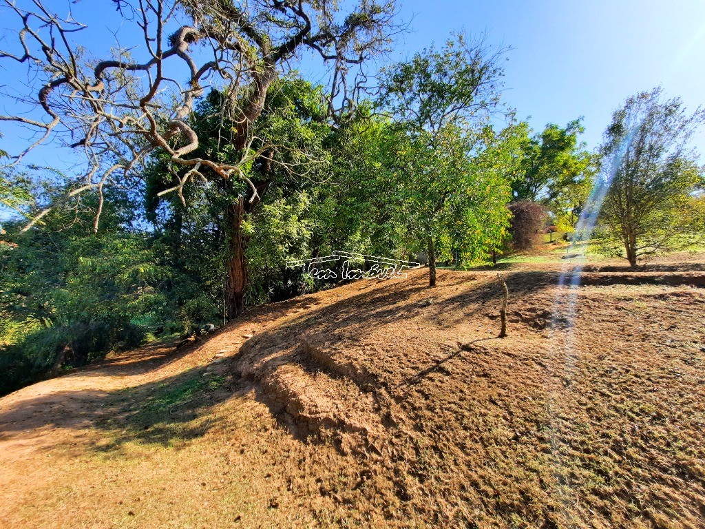 Fazenda à venda com 3 quartos, 300m² - Foto 56