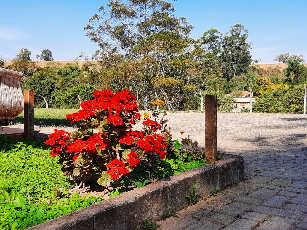 Fazenda à venda com 3 quartos, 300m² - Foto 11