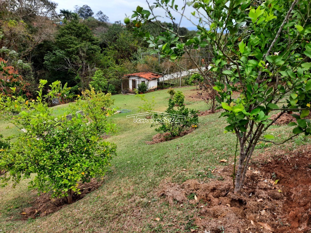 Fazenda à venda com 4 quartos, 376m² - Foto 56